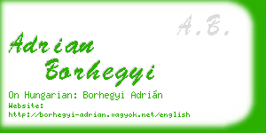 adrian borhegyi business card